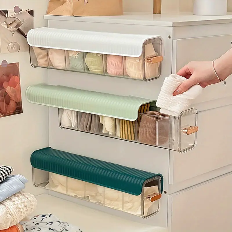 undergarment organizer 3
