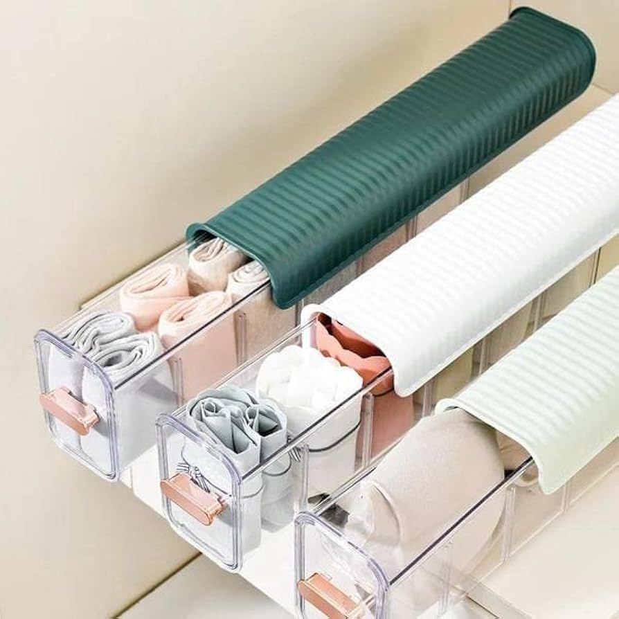 undergarment organizer